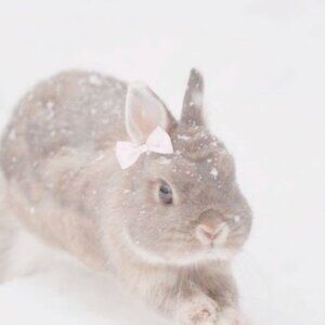 Meet your Posher, Ooper